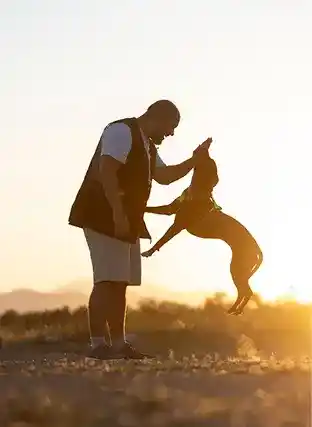 Dog trainer playing and training dog at sunset showing bond and positive reinforcement