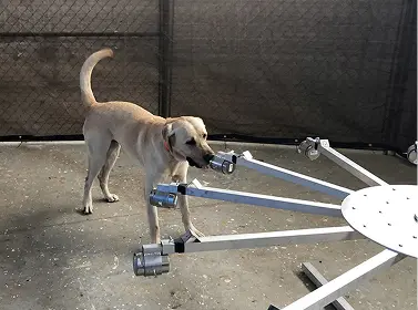 https://thedogschool.net/wp-content/uploads/2026/03/cropped-view-of-man-training-command-to-sit-with-husky-dog-2.webp