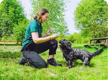 Professional dog trainer teaching advanced obedience commands to a black dog in park
