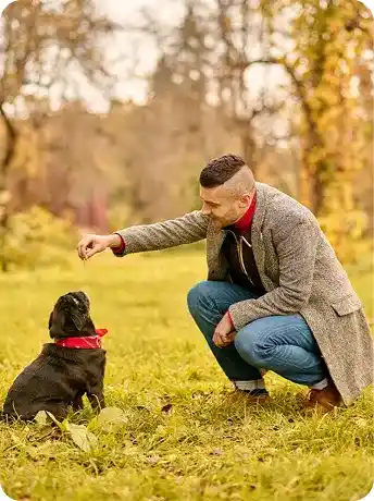 Professional dog trainer kneeling and rewarding small black dog during outdoor training session